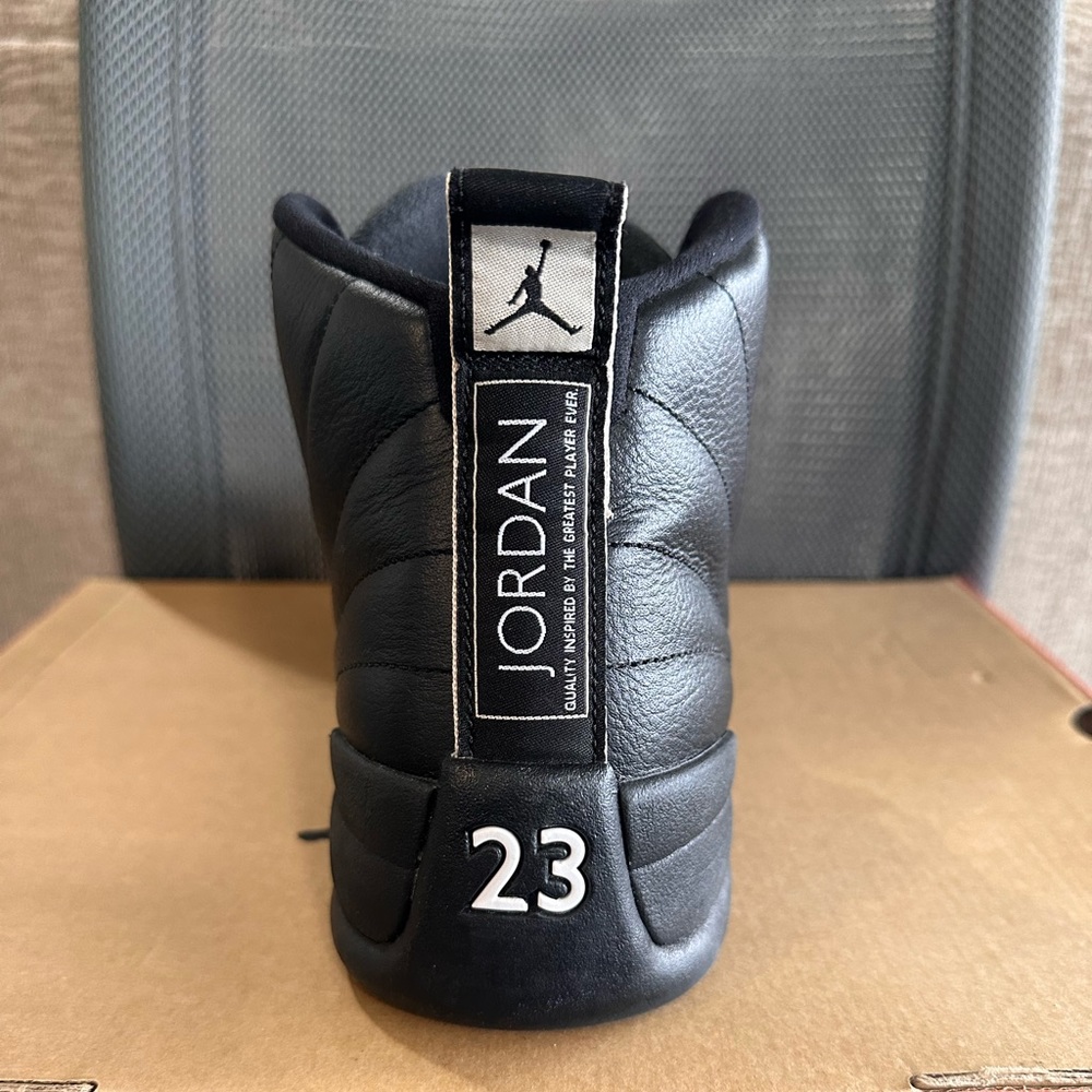 Men’s Air Jordan 12 Retro “The Master”